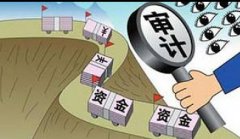 什么情况下需要审计，审计有啥用