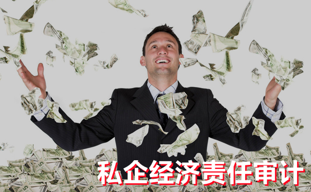 细说经济责任专项审计