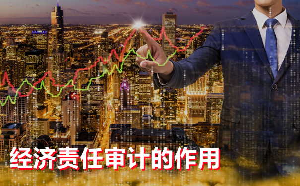 细说经济责任专项审计