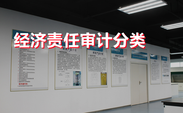 细说经济责任专项审计