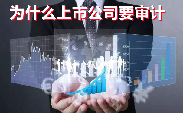 细说上市公司审计