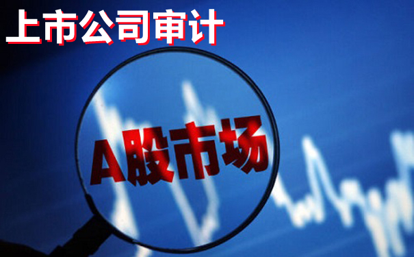 细说上市公司审计