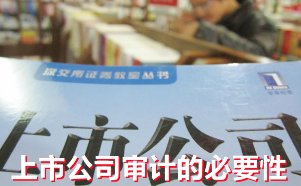 细说上市公司审计