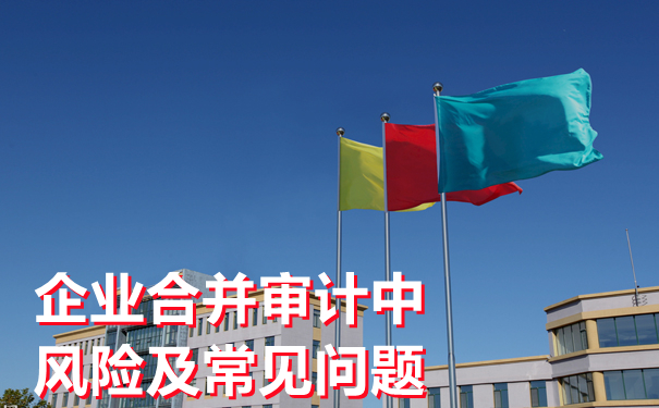 细说企业合并兼并收购审计