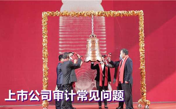 上市公司审计常见问题汇总 上市公司审计常见问题汇总