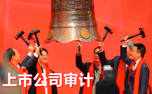 关于“上市公司审计”的全部内容都在这里了，赶紧收藏起来吧